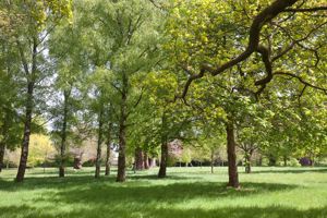 Grounds- click for photo gallery